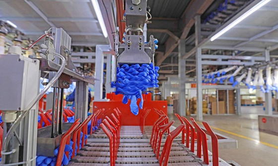 Examen médical La machine de fabrication de gants électriques en latex