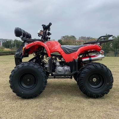 Atv à quatre roues motrices Beach Buggy 4x4 1000cc
