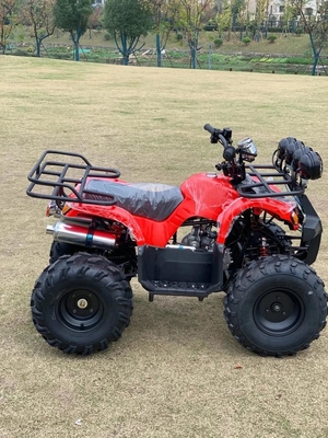 Atv à quatre roues motrices Beach Buggy 4x4 1000cc